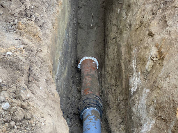 Best Professional water damage repair  in Upland, PA