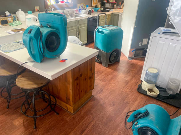 Best Flood damage cleanup  in Upland, PA