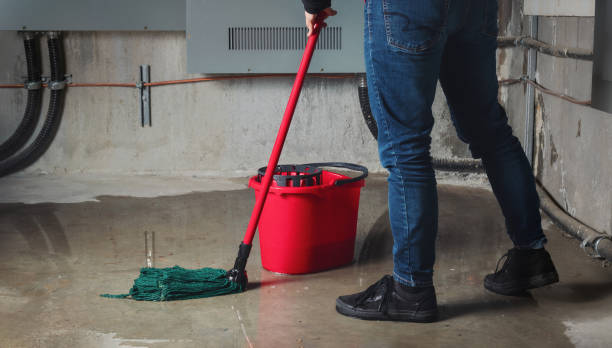 Best Water damage restoration near me  in Upland, PA