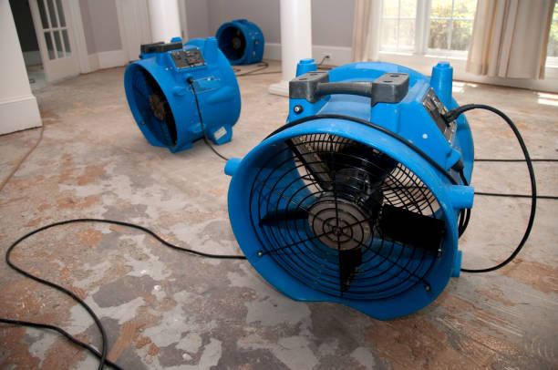 Best Ceiling water damage repair  in Upland, PA