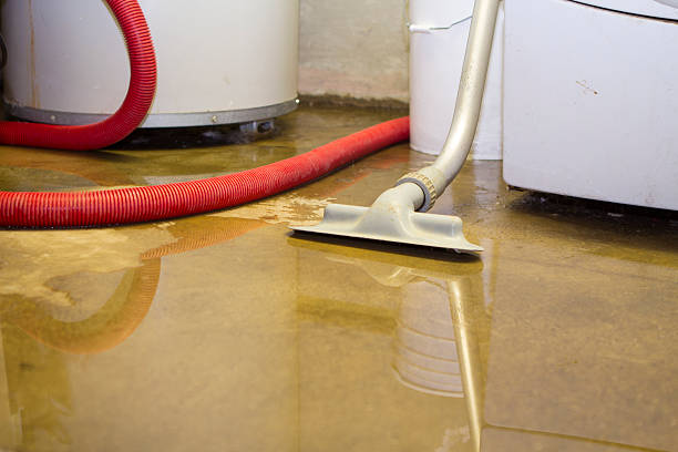  Upland, PA Water damage restoration Pros