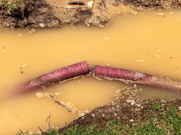 Best Local water damage restoration  in Upland, PA
