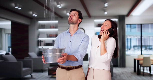 Best Water damage contractors near me  in Upland, PA