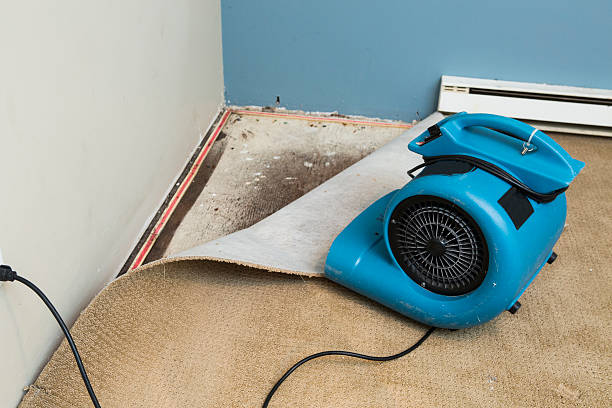 Best Flooded house restoration  in Upland, PA